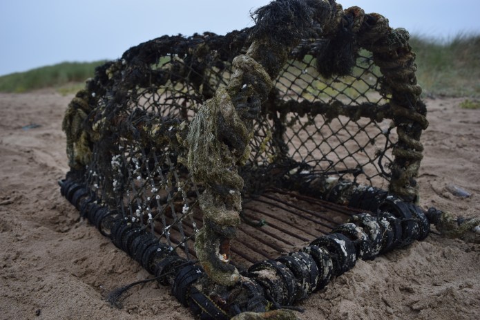 oxwichbay - copyright - faaricsameem